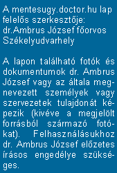 Felelős szerkesztő: Dr. Ambrus József